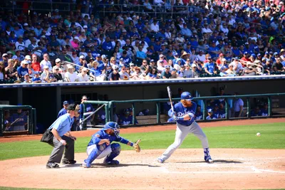 DSC_1779 (Large).JPG